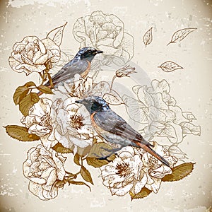 Vintage floral background with birds