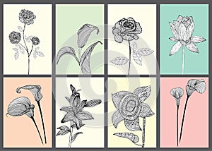 Vintage Floral Cards Set.
