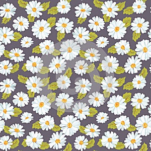 Vintage Floral Daisy Background