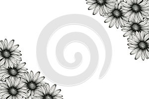 Vintage floral frame with black and white daisy flower drawing, festive card design with daisies for mothers day, invitation