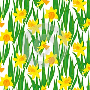 Vintage floral pattern with daffodils.