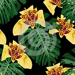 Vintage floral seamless background pattern. Beautiful tigridia flower with monstera tropical palm leaves on black background.