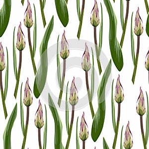 Vintage floral seamless background pattern. Beautiful tulips flower bud and leaves on white background.