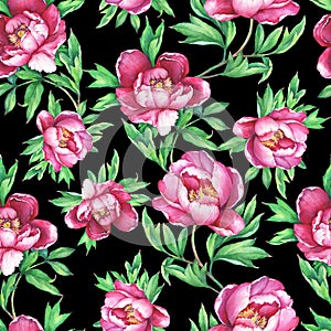 Vintage floral seamless pattern with flowering pink peonies, on black background. Elegance watercolor hand drawn painting illust