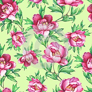 Vintage floral seamless pattern with flowering pink peonies, on greenery background. Elegance watercolor hand drawn painting illus