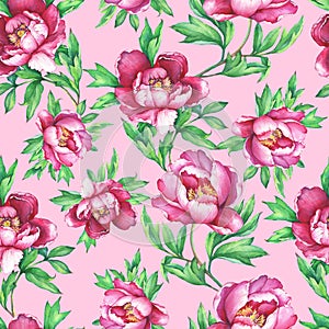 Vintage floral seamless pattern with flowering pink peonies, on pink background. Elegance watercolor hand drawn painting illustrat