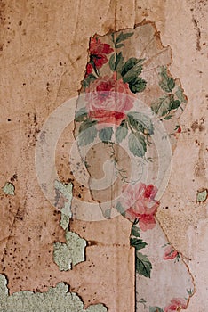 Vintage Floral Wallpaper - Ohio State Reformatory Prison - Mansfield, Ohio