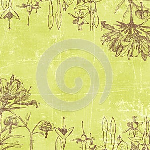 Vintage Florals Botanical Paper Background