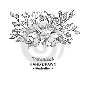 Vintage flower bouquet. Vector drawing. Peony, rose, leaves and