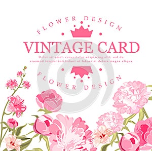 Vintage Flower Card. Vector Illustration