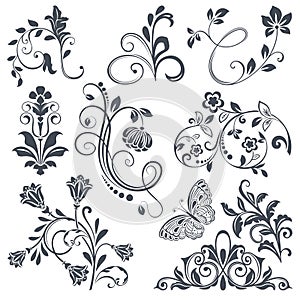 Vintage flower design elements