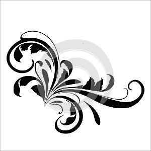 Vintage flower design elements. Black curly branches shapes isolated on white background. Vector illustration