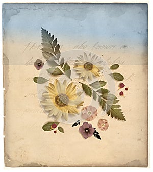 Vintage Flower Illustration