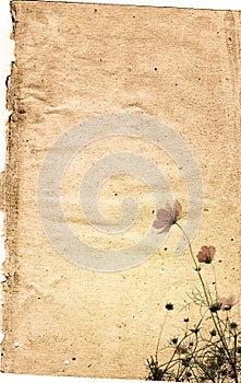 Vintage flower paper background