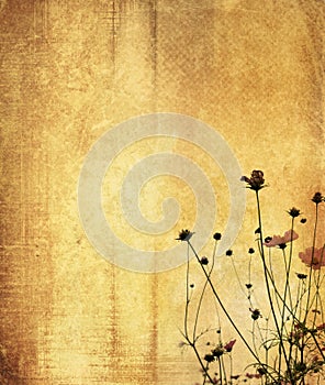 Vintage flower paper background