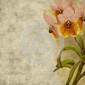 Vintage Flower Scrapbook Background