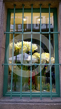 Vintage flower in vase placed beside the window