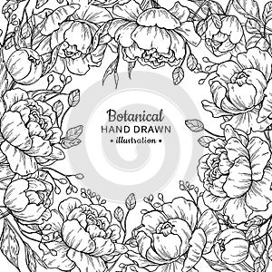 Vintage flower vector frame drawing. Peony, rose, leaves and ber