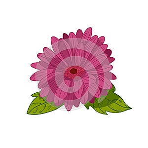 Vintage flower vector illustration.