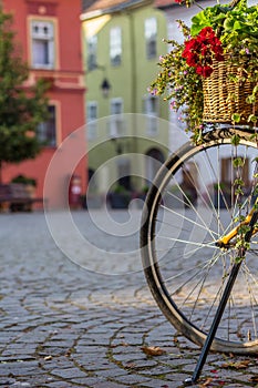 Vintage Flowerpot and Bicycle