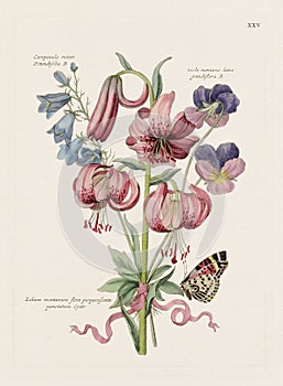 Vintage Flowers. 18th-century colorful floral illustration. Circa 1790