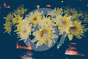 Vintage flowers blooming,yellows flowers