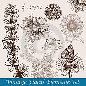 Vintage flowers set