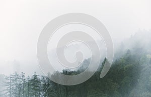 Vintage foggy landscape, forest with clouds