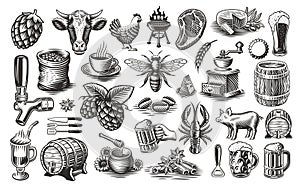 Vintage Food Vector Clipart