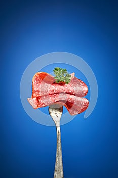 Vintage fork with salami sausage