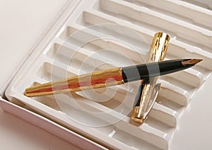 Vintage fountain pen