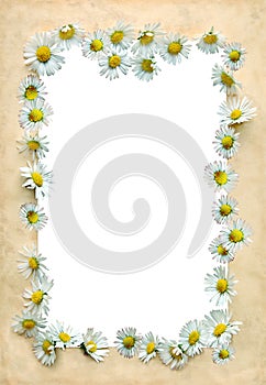 Vintage frame with daisies