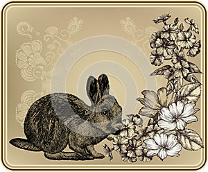 Vintage frame with rabbit, blooming roses and phlo