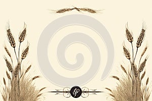 a vintage frame with wheat ears on a beige background