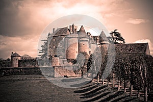 Vintage French Castle