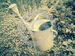 Vintage garden ewer