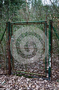 Vintage garden gate