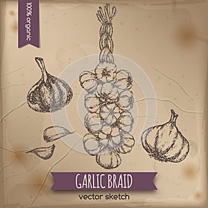 Vintage garlic braid template