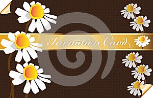 Vintage golden invitational card with daisy flowers vector image