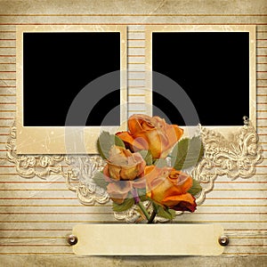 Vintage gorgeous background with a polaroid-frames and a roses