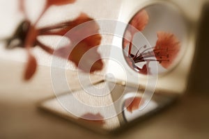 Vintage grange background