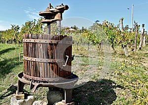 Vintage grape press machine outdoor near the vineyards