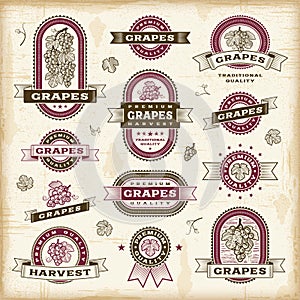 Vintage grapes labels set