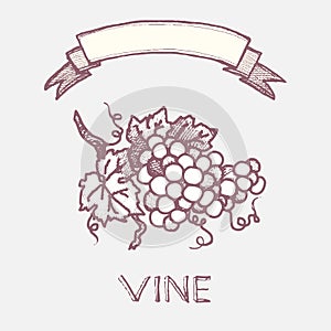Vintage grapevine sign