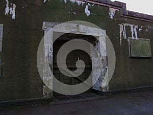 Vintage Green Door with Metal Gate and White Concrete Frame