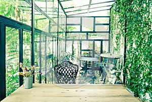 Vintage green glasshouse interior