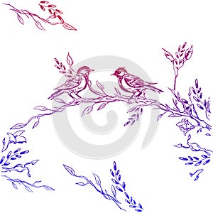 Vintage Greeting Card with Blooming Flowers and Birds. Thank You with Place for Your Text. Wildflowers, Vector