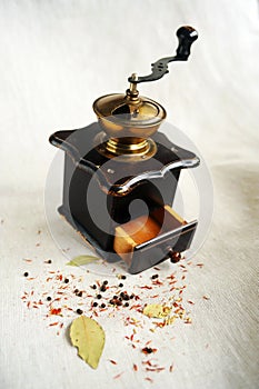 Vintage grinder and spices