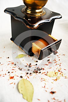 Vintage grinder and spices