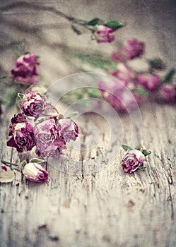 Vintage grunge background with dry tea roses on the old wood